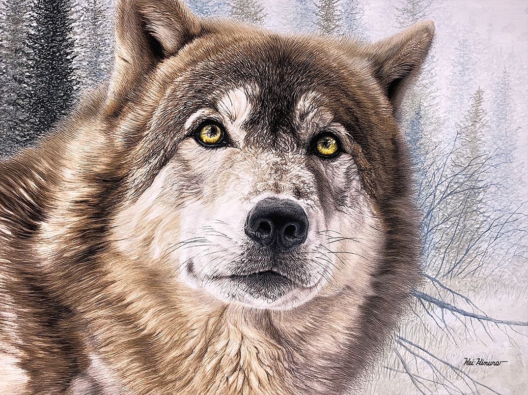 JMF26_PRG_MF_KEI_KIMURA